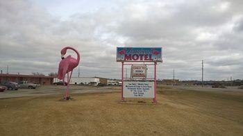 Flamingo Motel Marshalltown Exterior foto